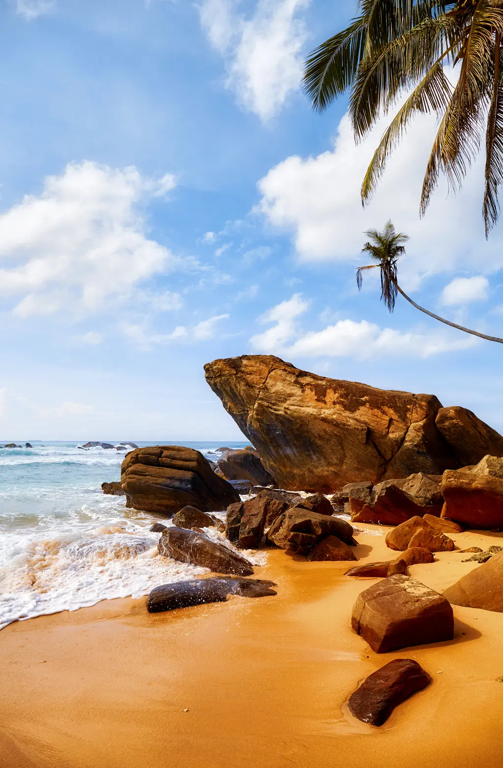 Paradise