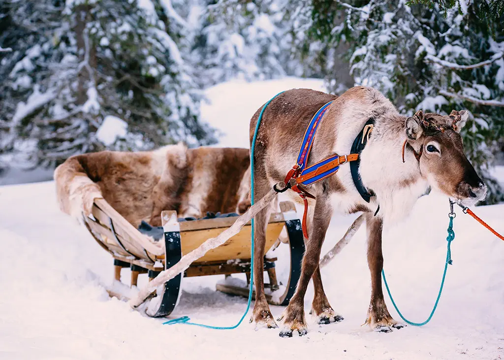 finland-6