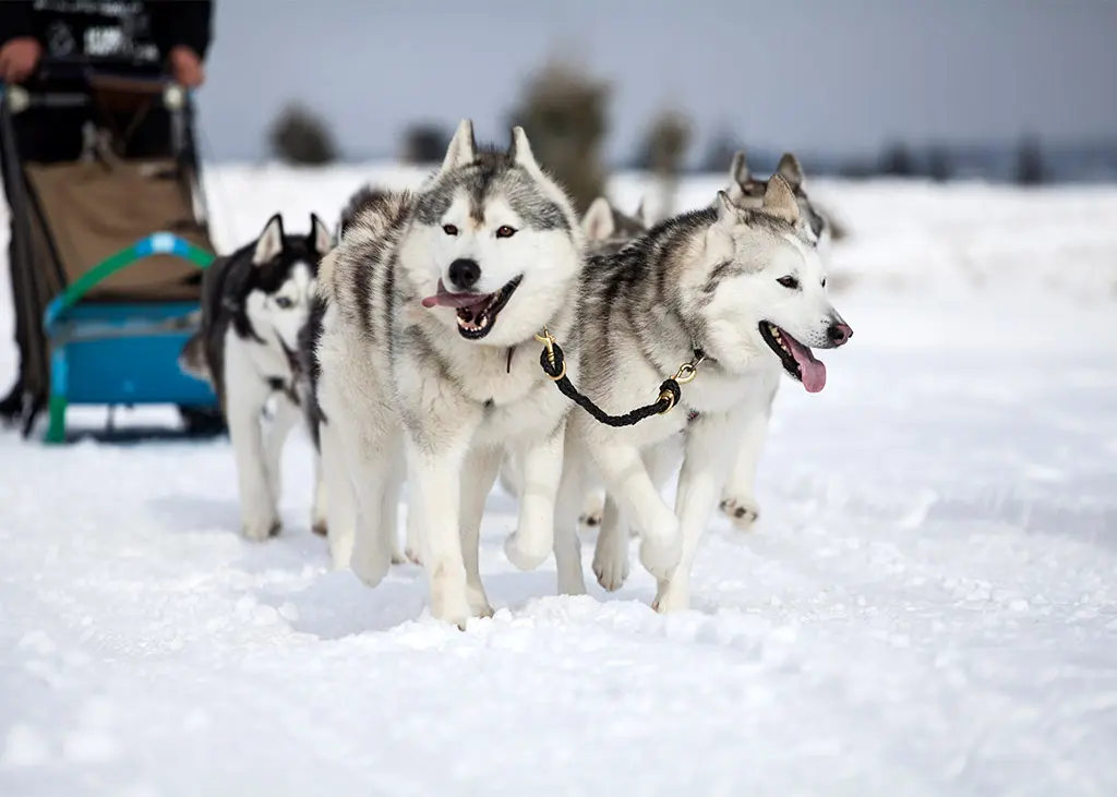 finland-8