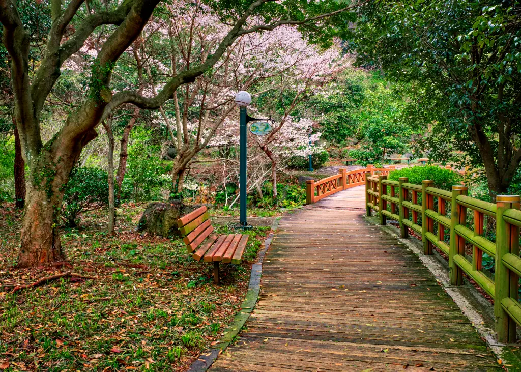 South Korea Jeju Island 3