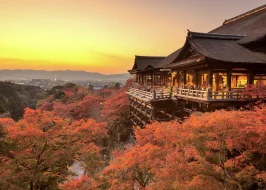 Japan Autumn 1