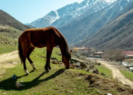 Kazakhstan-5