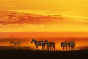 fall-in-love-south-africa