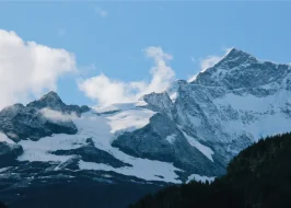 swiss-5